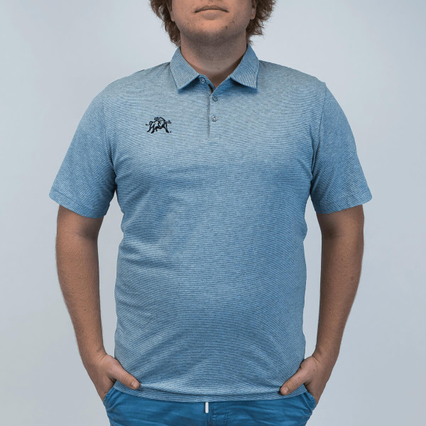 Striped, Blue, White, U-State, Men's, Polo